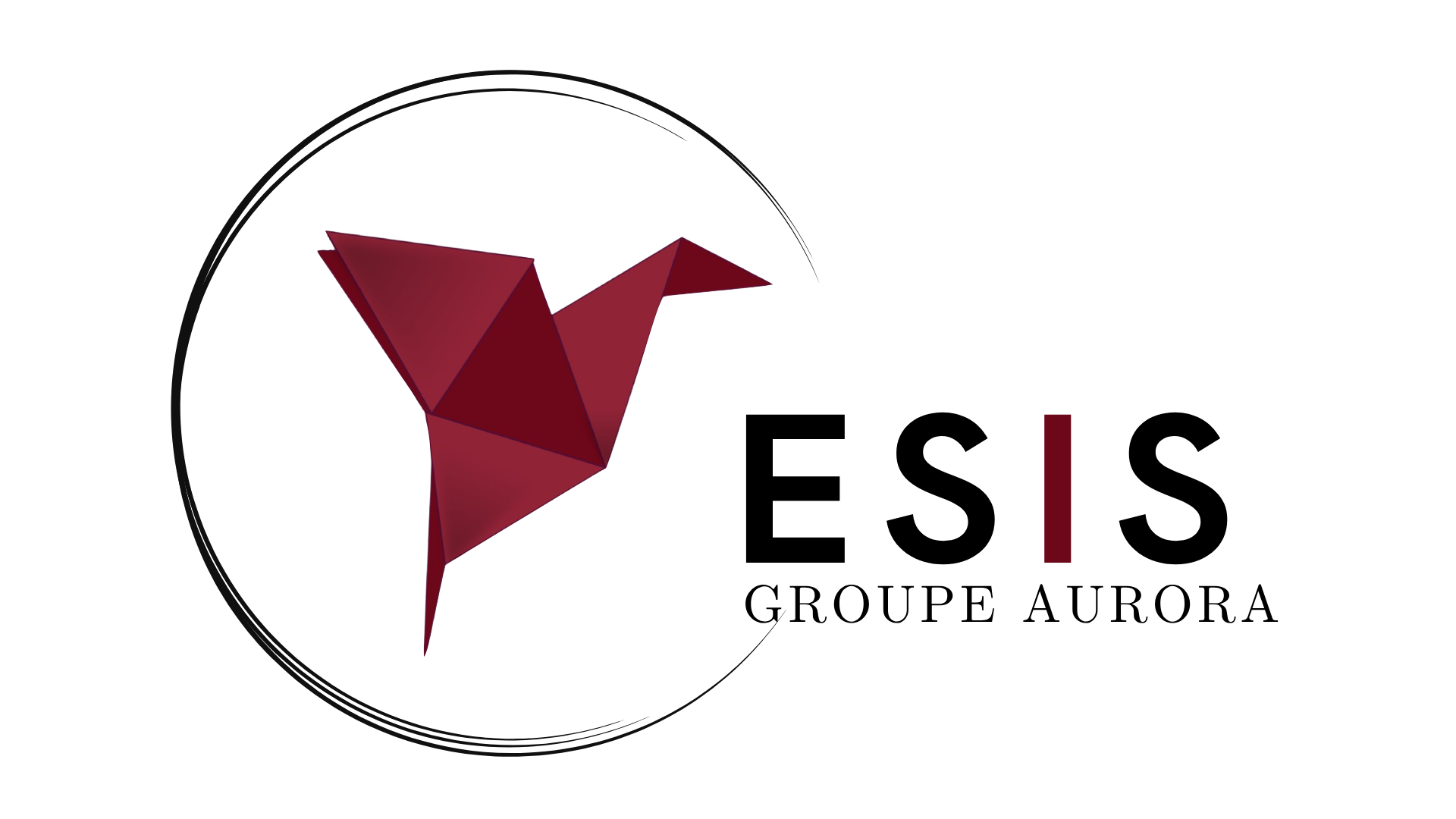 Logo esis informatique